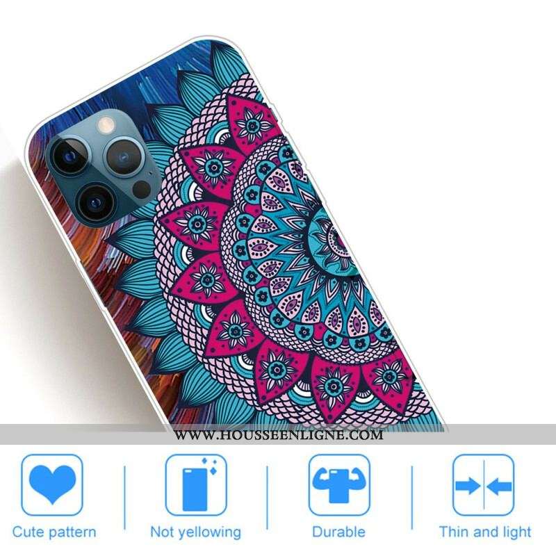 Coque iPhone 13 Pro Max Mandala Coloré