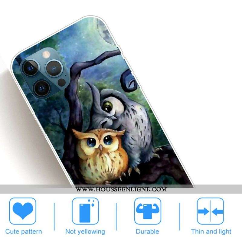 Coque iPhone 13 Pro Max Peinture Hiboux