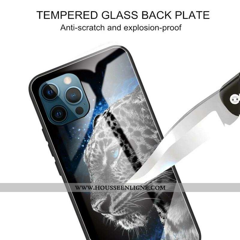 Coque iPhone 13 Pro Verre Trempé Face de Félin