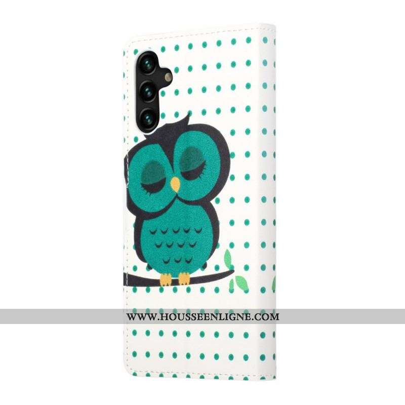 Housse Samsung Galaxy A13 5G Hibou Endormi