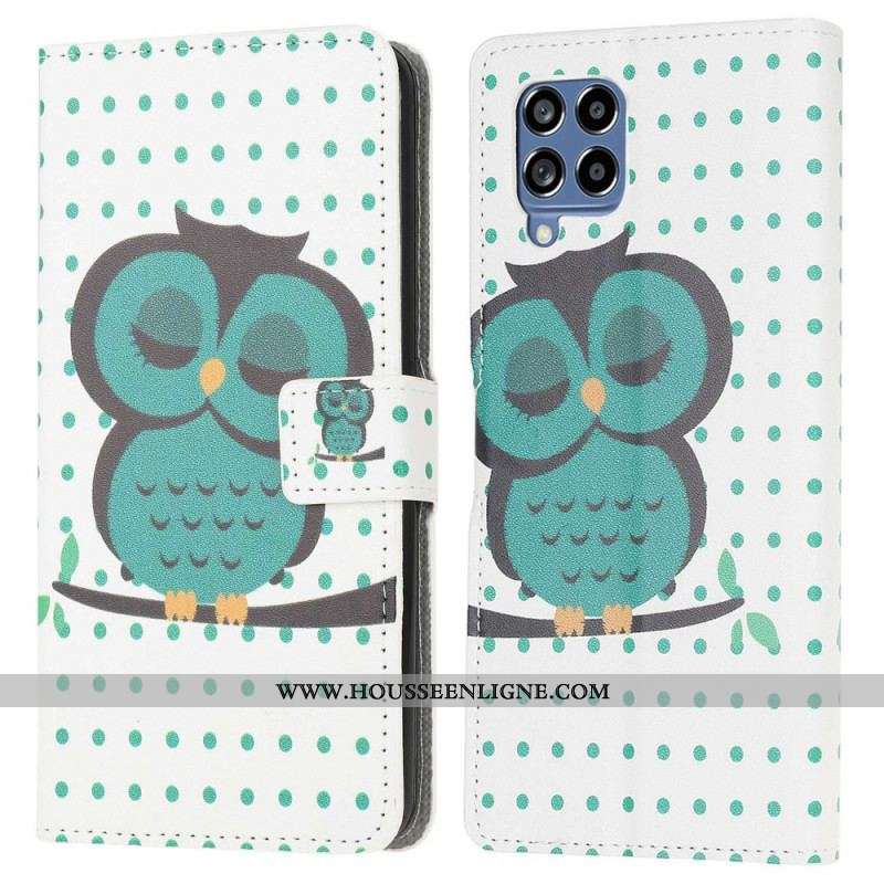 Housse Samsung Galaxy M53 5G Hibou Endormi