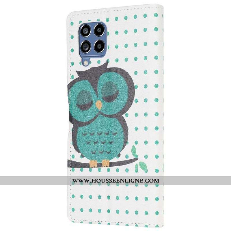 Housse Samsung Galaxy M53 5G Hibou Endormi