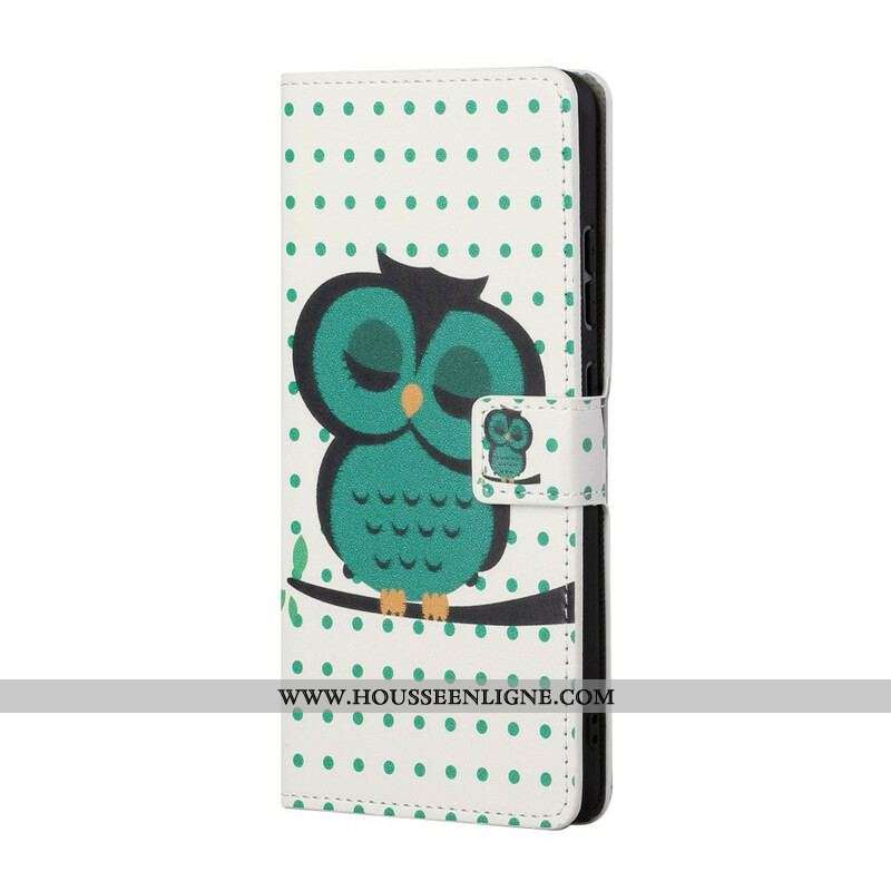 Housse Samsung Galaxy S21 5G Hibou Endormi