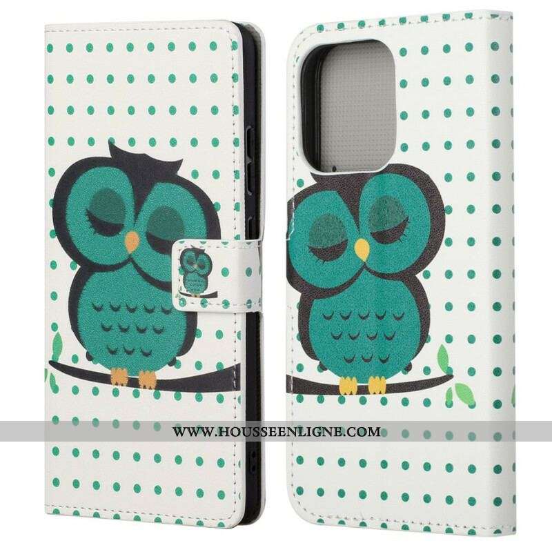 Housse iPhone 13 Pro Hibou Endormi