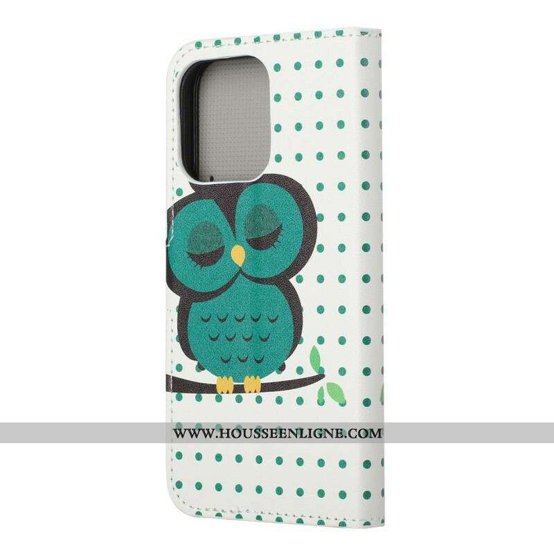 Housse iPhone 13 Pro Hibou Endormi