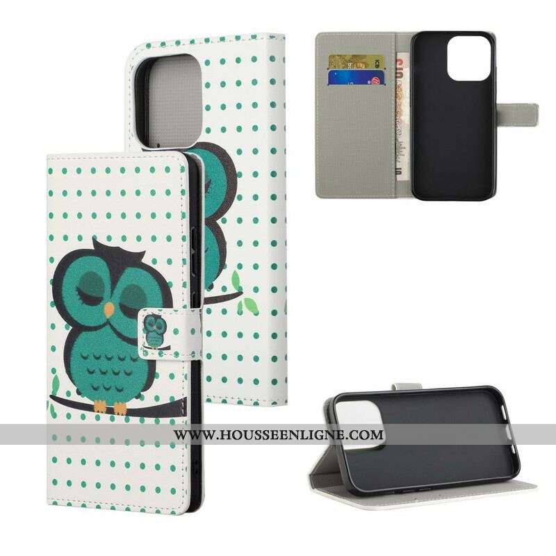 Housse iPhone 13 Pro Hibou Endormi