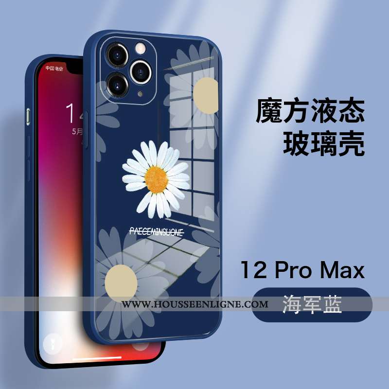 Coque iPhone 12 Pro Max Légère Protection Amoureux Tout Compris Ultra Téléphone Portable Bleu