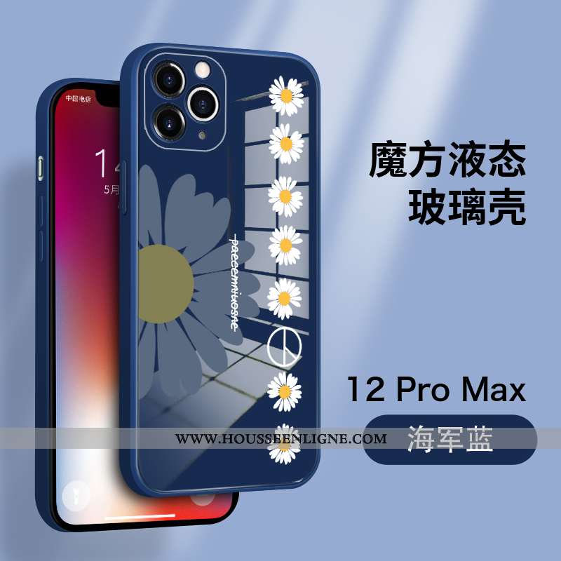 Coque iPhone 12 Pro Max Légère Protection Amoureux Tout Compris Ultra Téléphone Portable Bleu